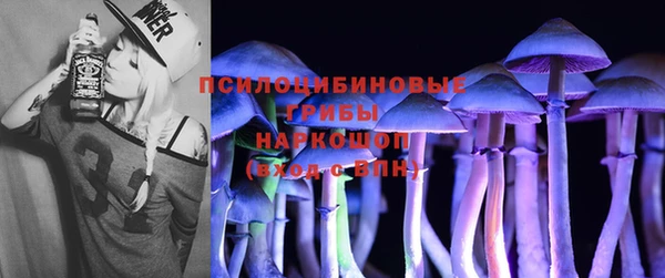 твердый Медвежьегорск