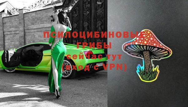 твердый Медвежьегорск