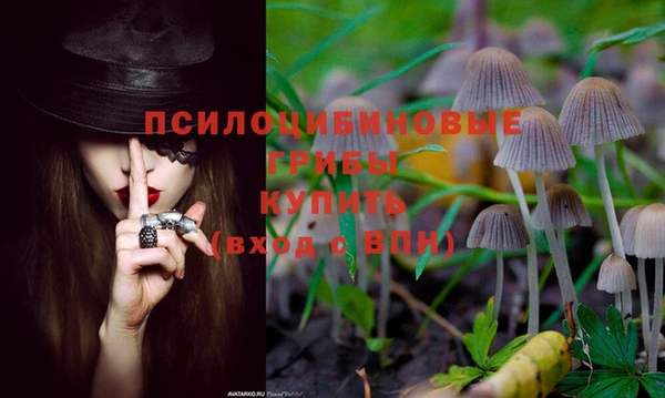 скорость Мегион