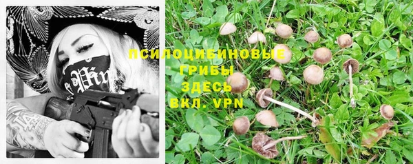 твердый Медвежьегорск